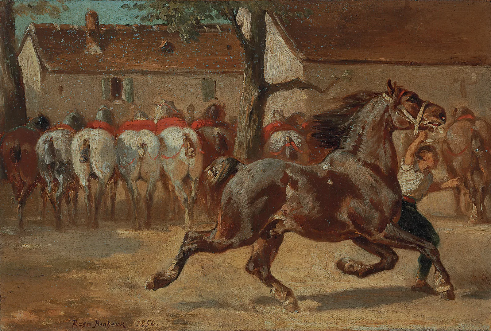 Trotting A Horse Wall Art by Rosa Bonheur - Canvas Print