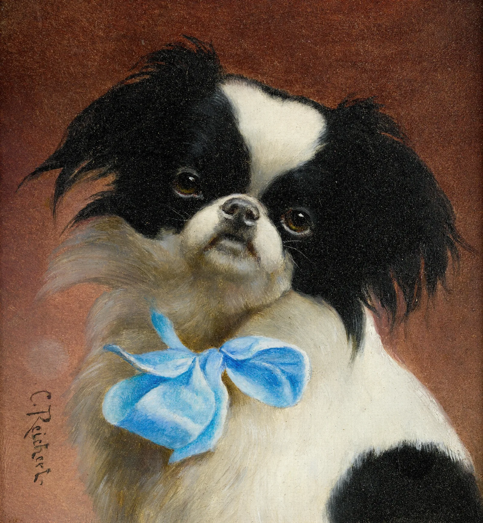 Japanese Chin Wall Art by Carl Reichert - Canvas Print