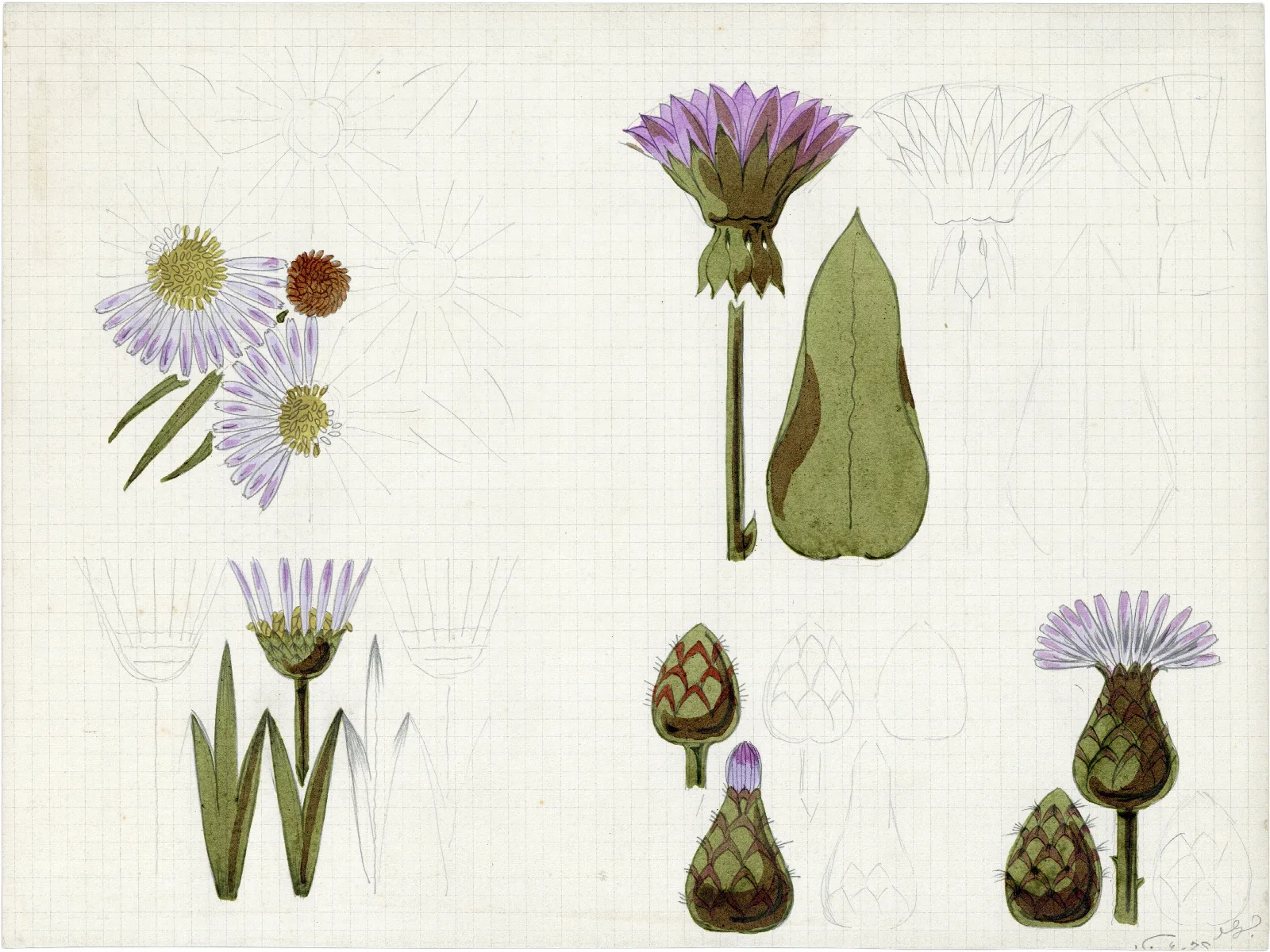 De Distel 2 Wall Art by Alfred Ost - Canvas Print