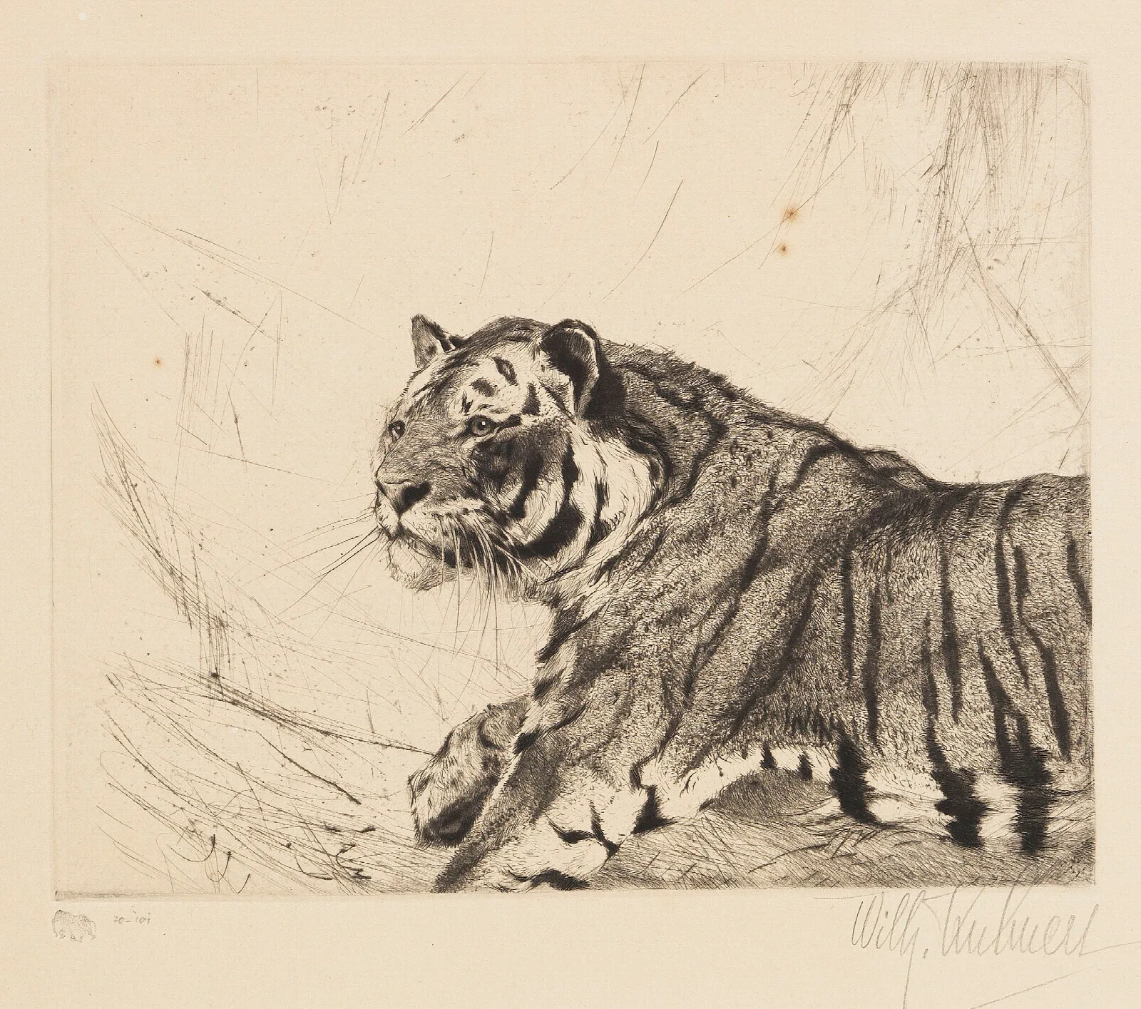 Tiger 13 Wall Art by Wilhelm Kuhnert - Canvas Print