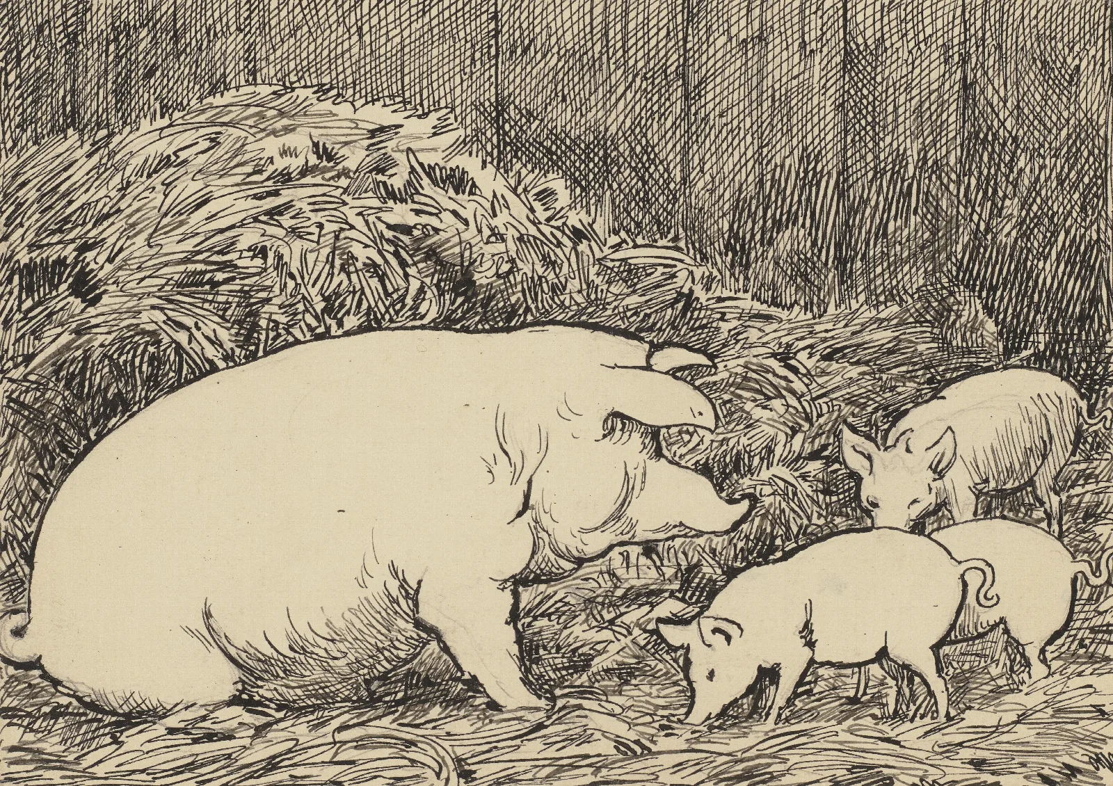 Schwein Wall Art by Hans Thoma - Canvas Print