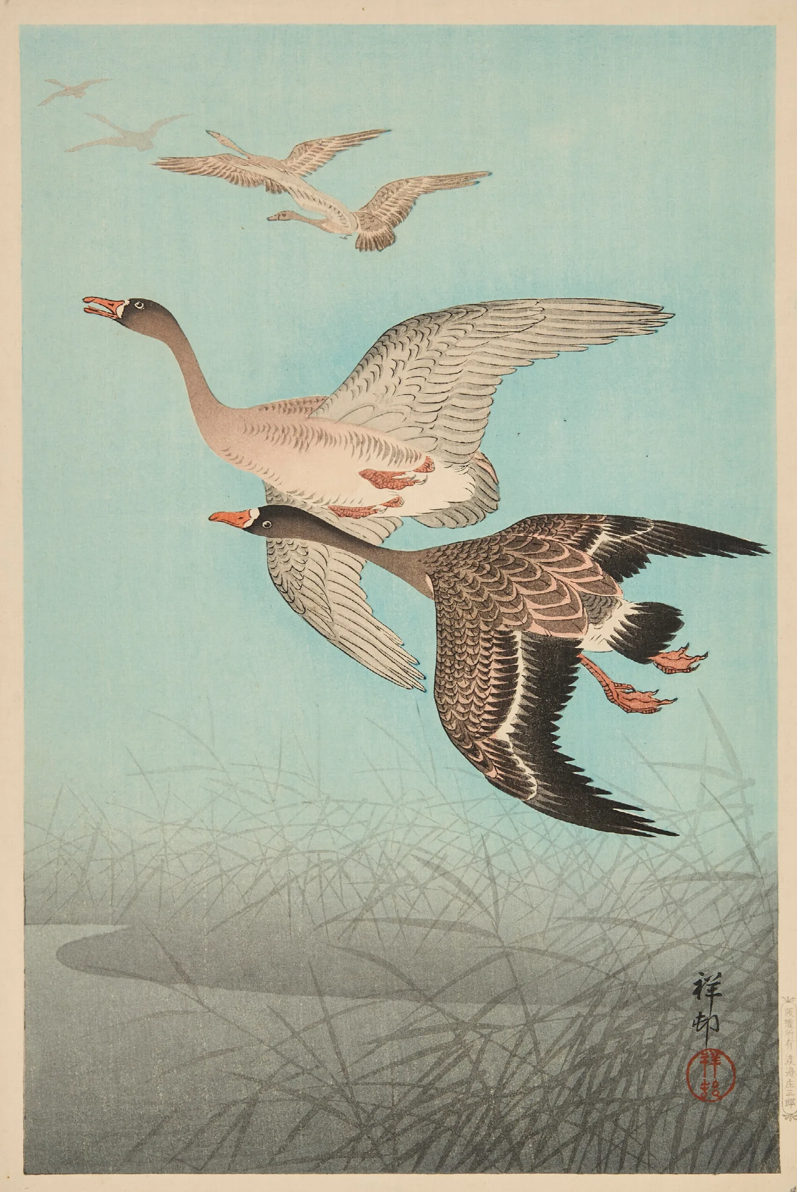 Geese Flying Over Reed Wall Art by Ohara Koson - Canvas Print