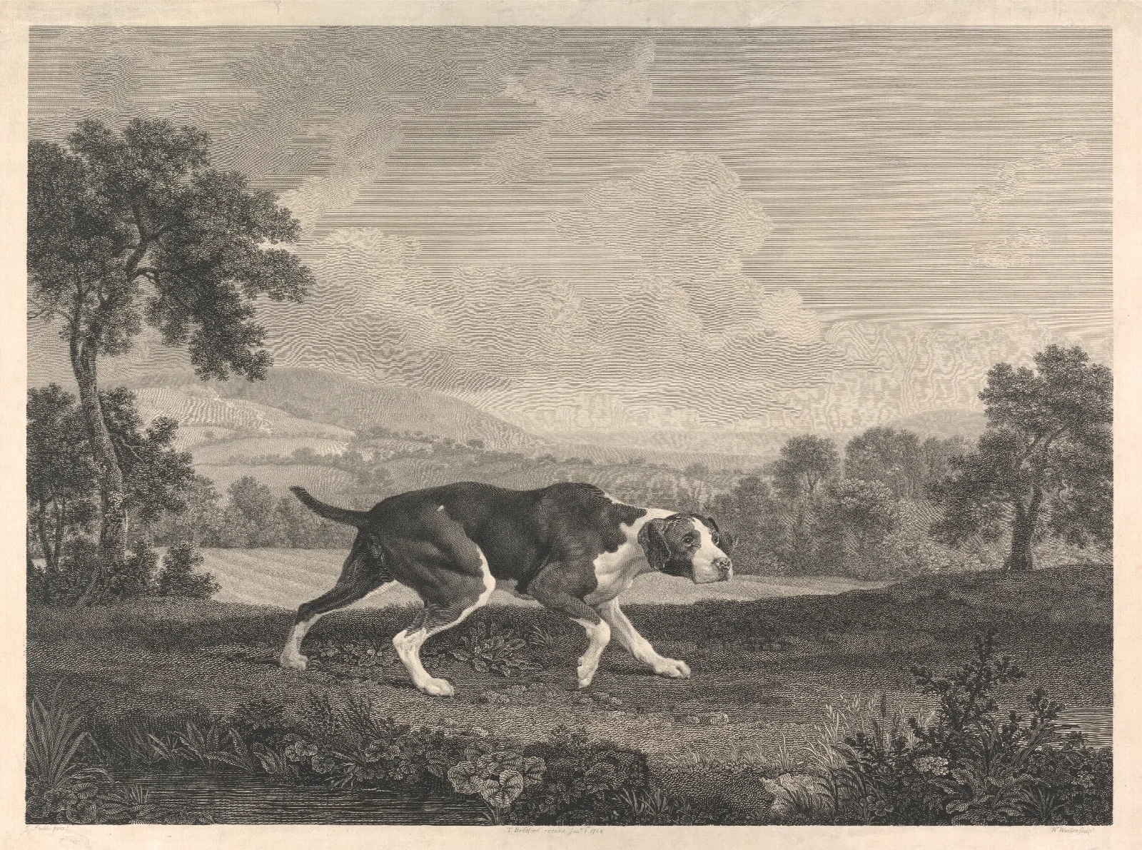 The Spanish Pointer Wall Art by George Stubbs - Canvas Print