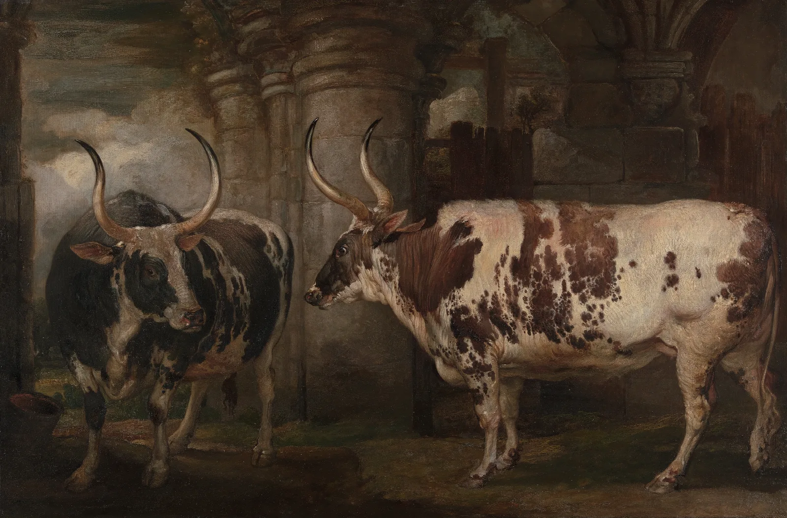 Portraits Of Two Extraordinary Oxen The Property Of The Earl Of Powis Wall Art by James Ward - Canvas Print
