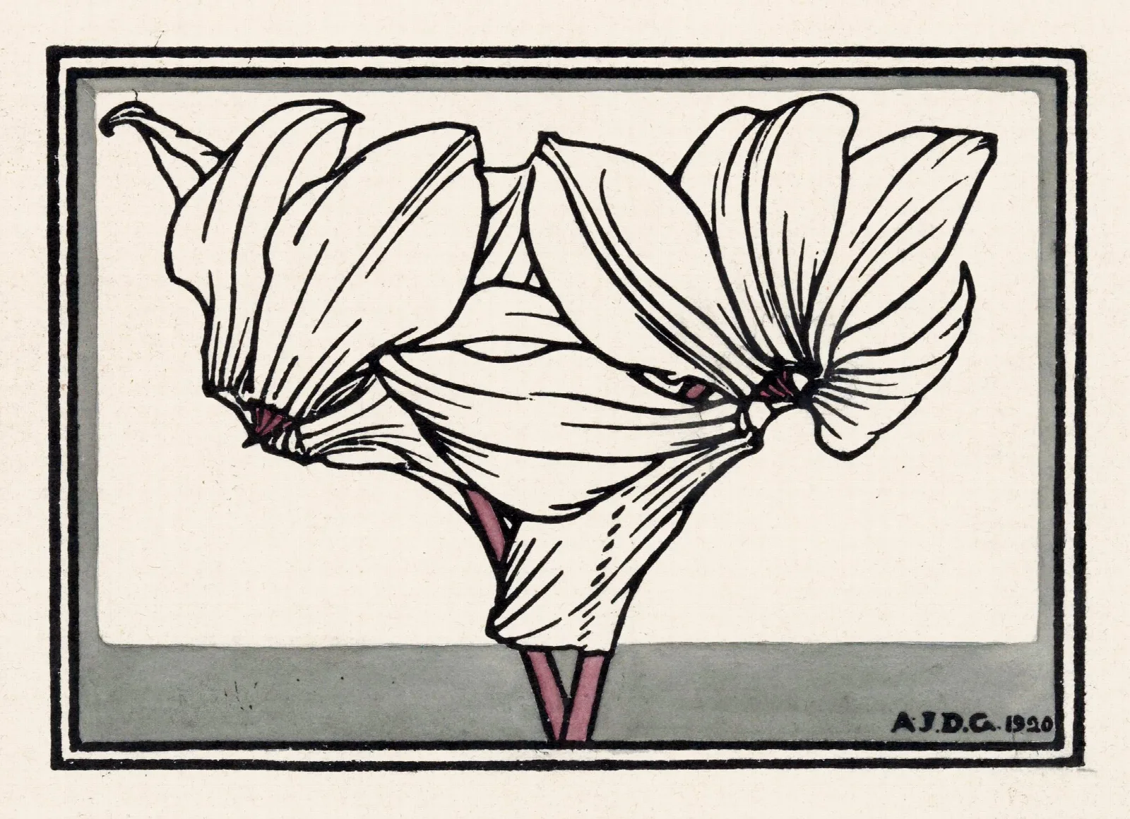 Cyclamen 2 Wall Art by Julie de Graag - Canvas Print