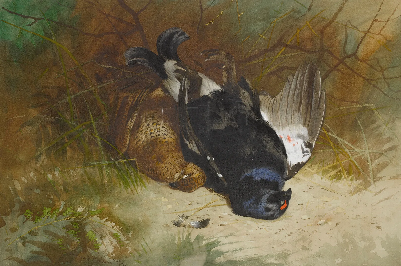 Still Life Of A Pair Of Blackgame Wall Art by Archibald Thorburn - Canvas Print