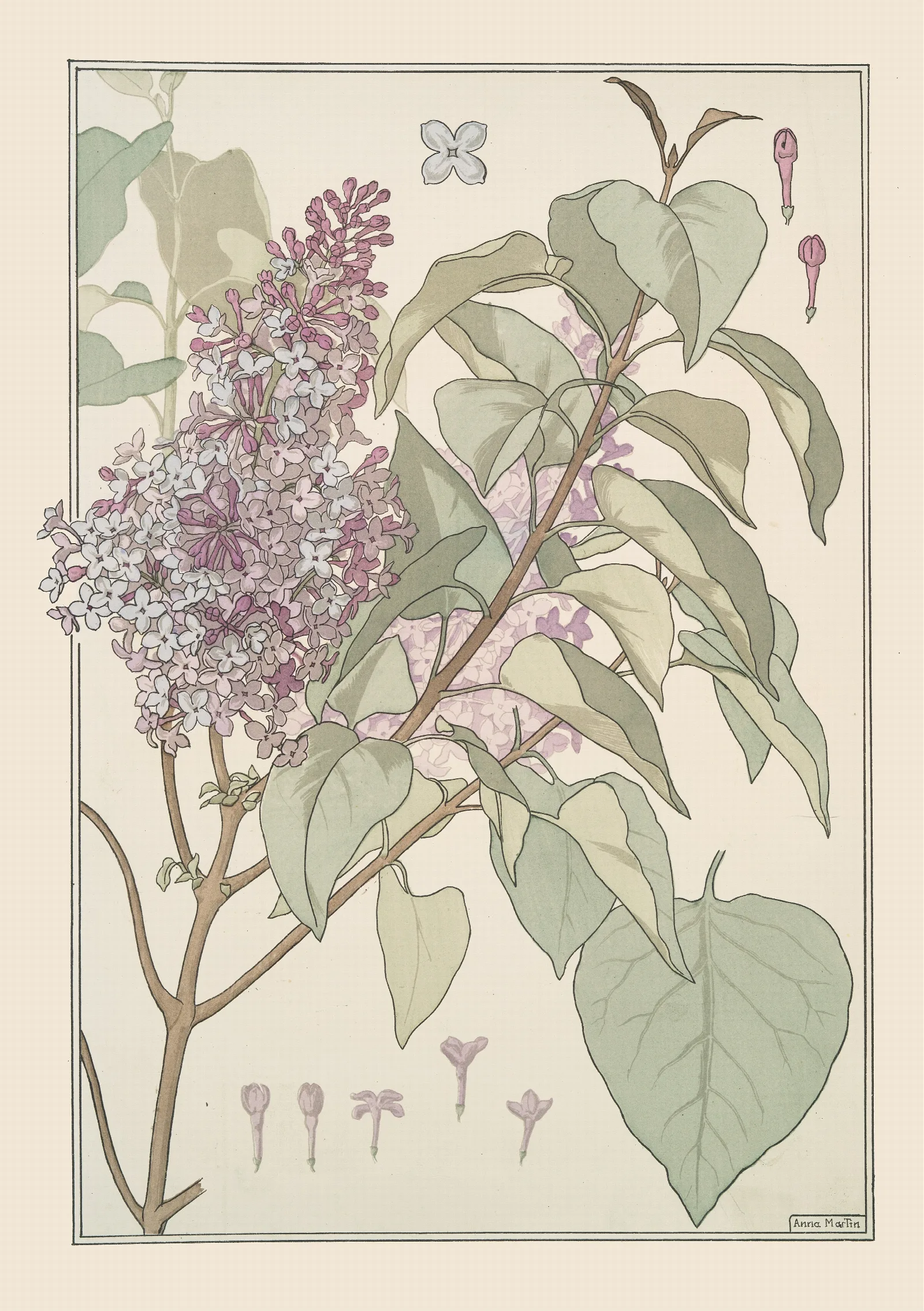 Lilas Wall Art by Maurice Pillard Verneuil - Canvas Print