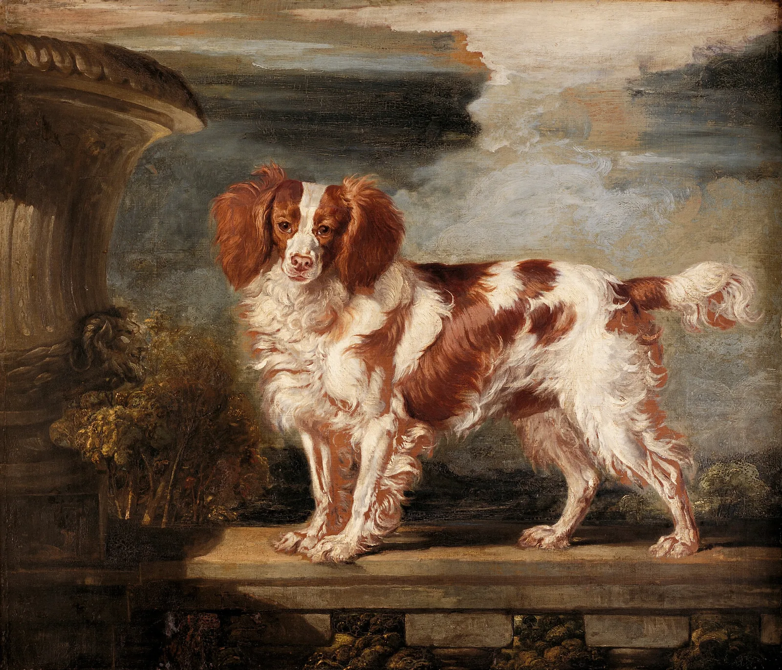 Portrait Of Dash A Favourite Spaniel The Property Of Lady Frances Vane Tempest Wall Art by James Ward - Canvas Print