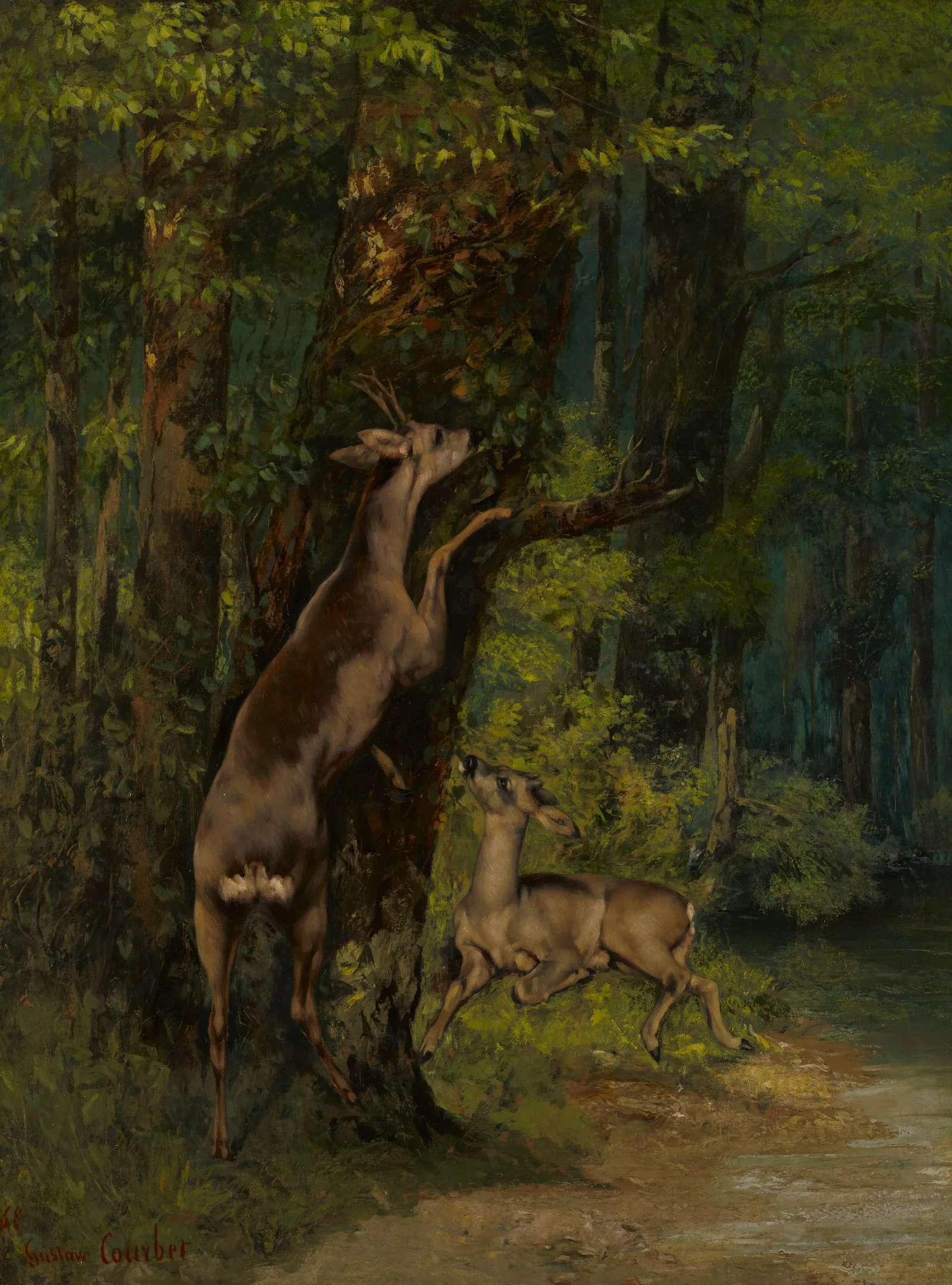 Deer In The Forest Wall Art by Gustave Courbet - Canvas Print