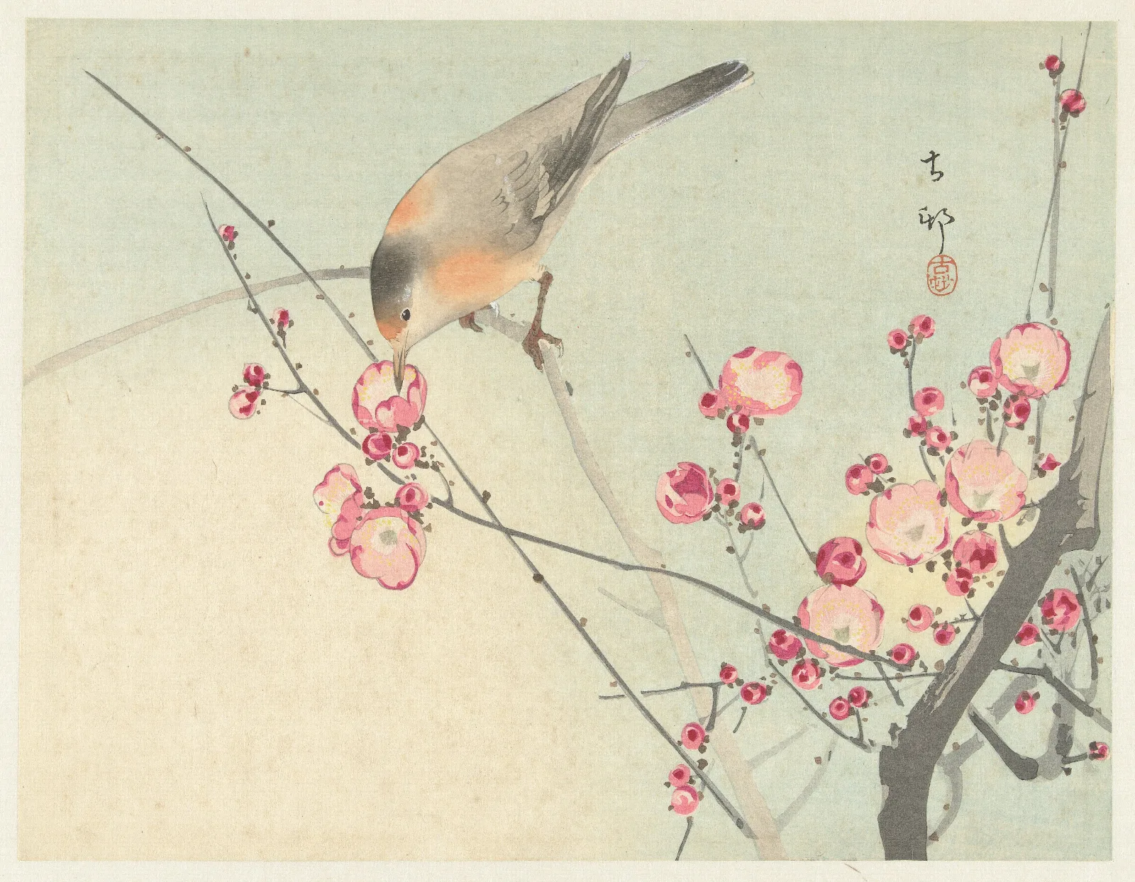 Songbird On Blossom Branch Wall Art by Ohara Koson - Canvas Print