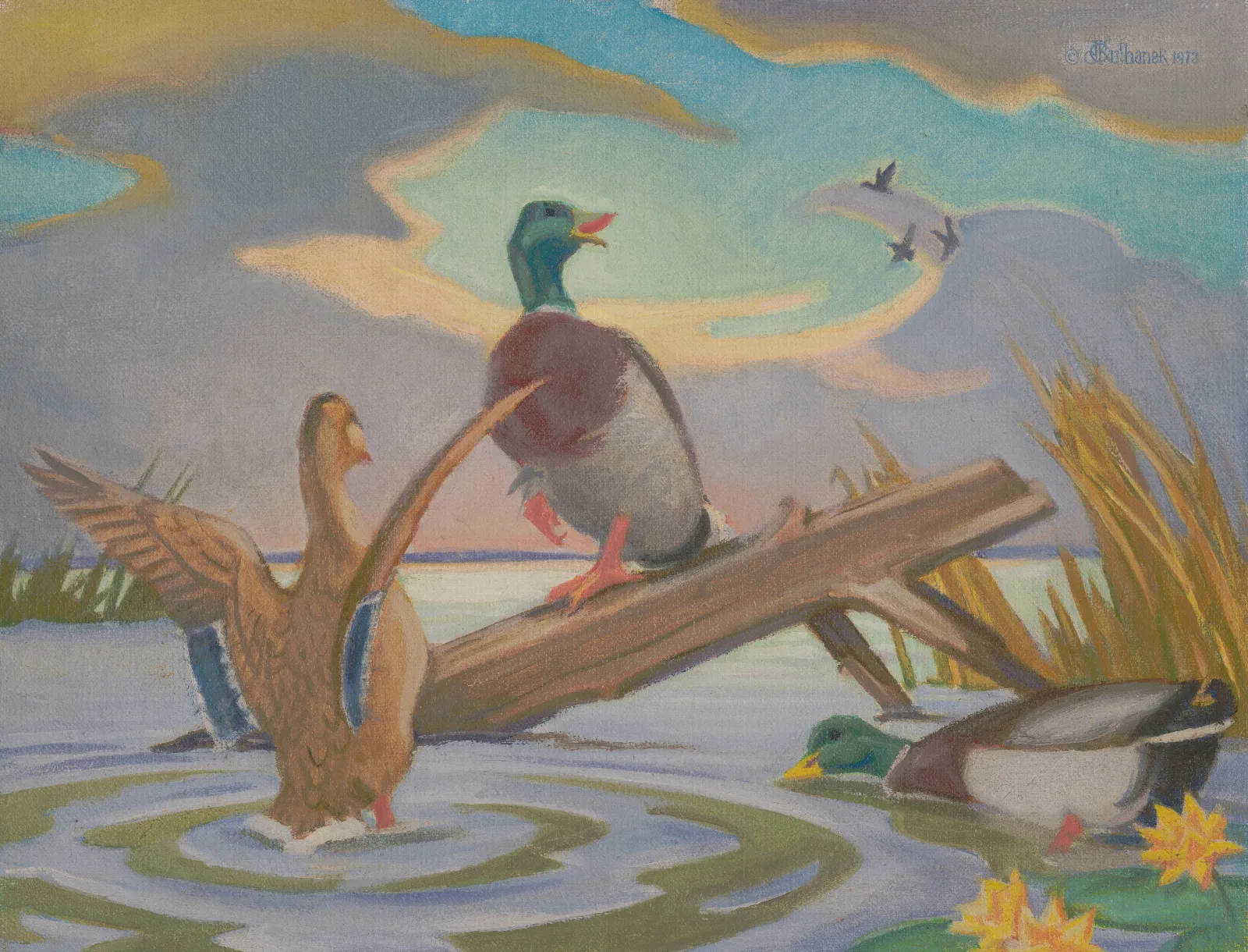 Migratory Marsh Wall Art by James C. Kulhanek - Canvas Print