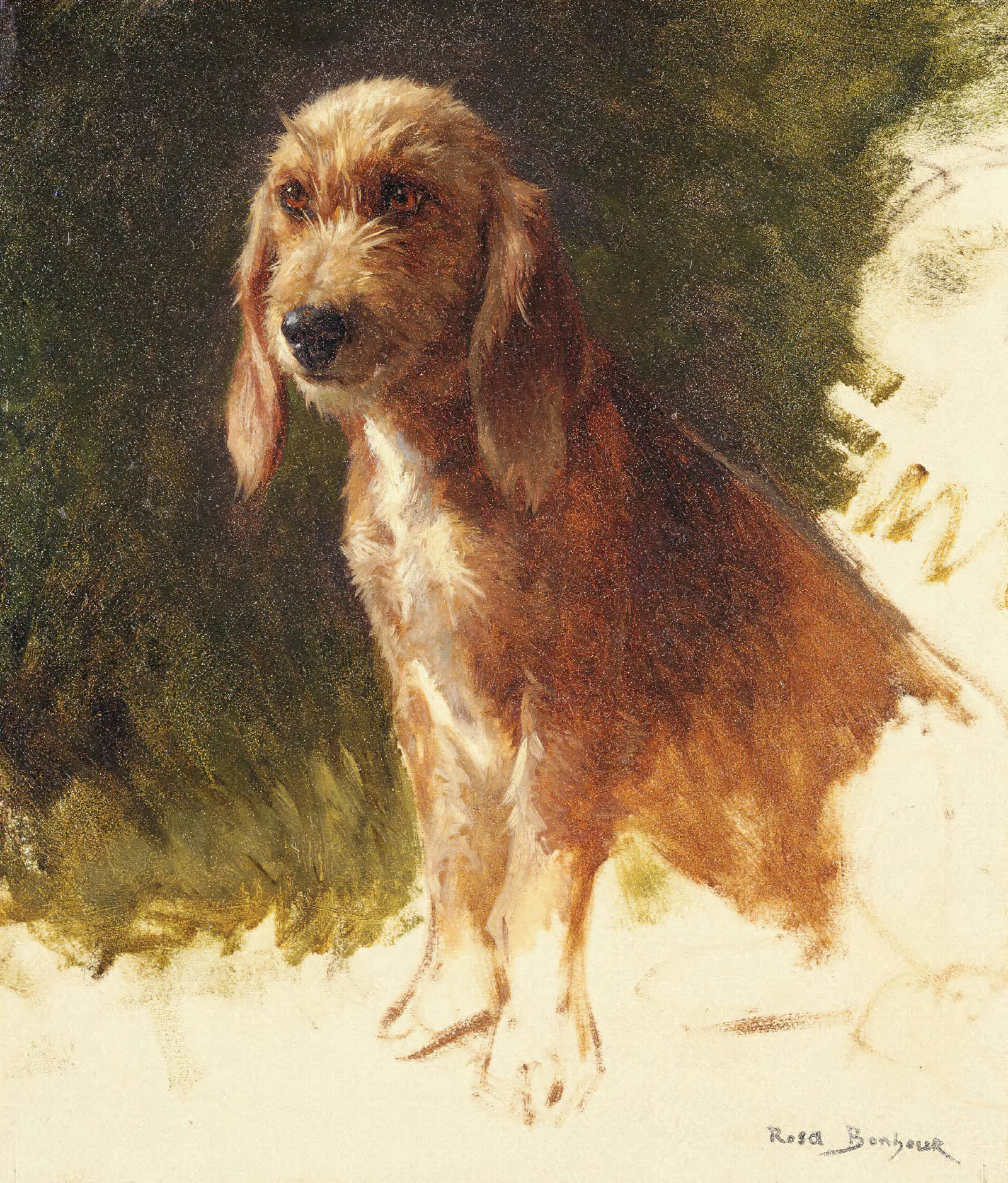 Study Of A Dog Wall Art by Rosa Bonheur - Canvas Print