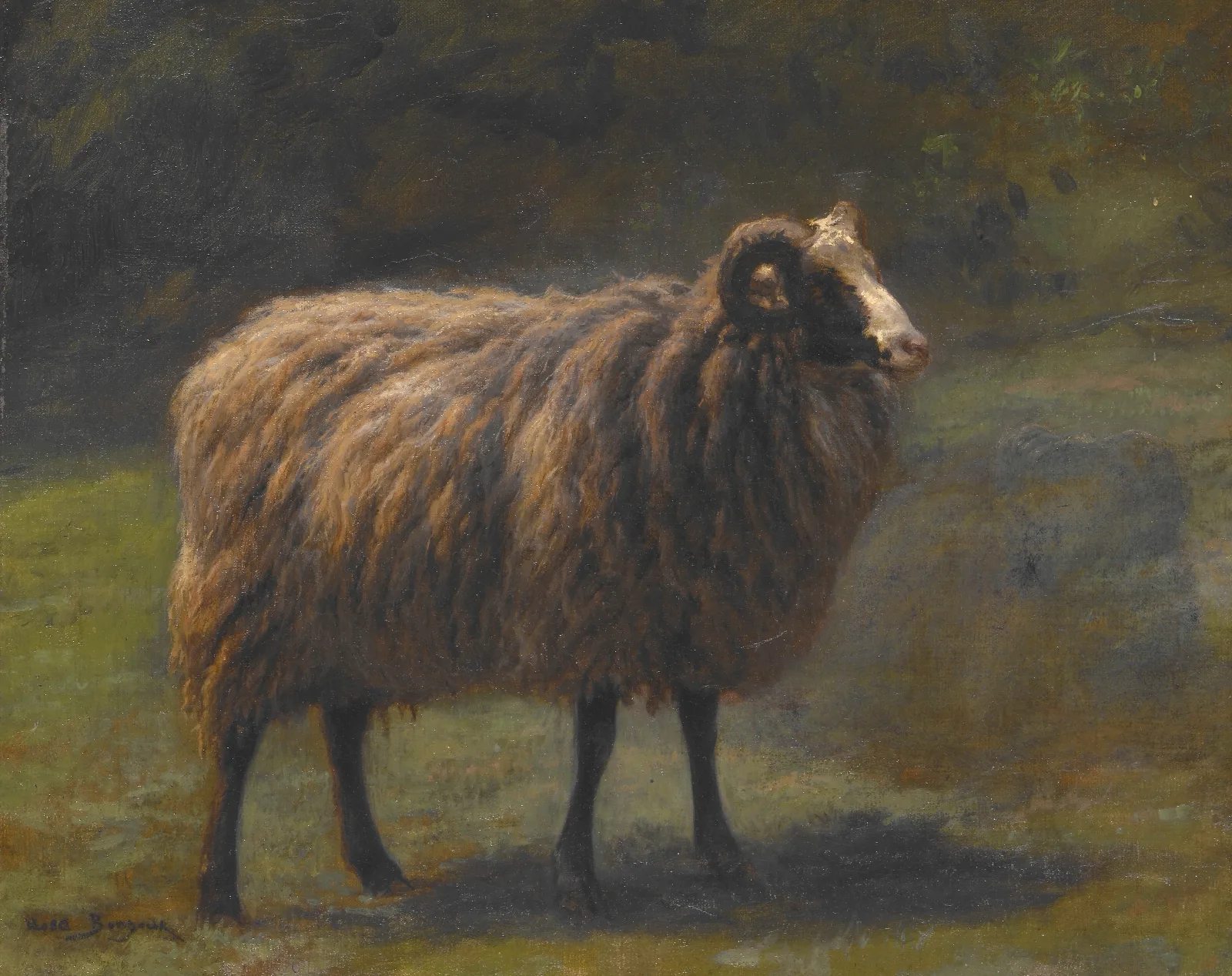 Ram Wall Art by Rosa Bonheur - Canvas Print