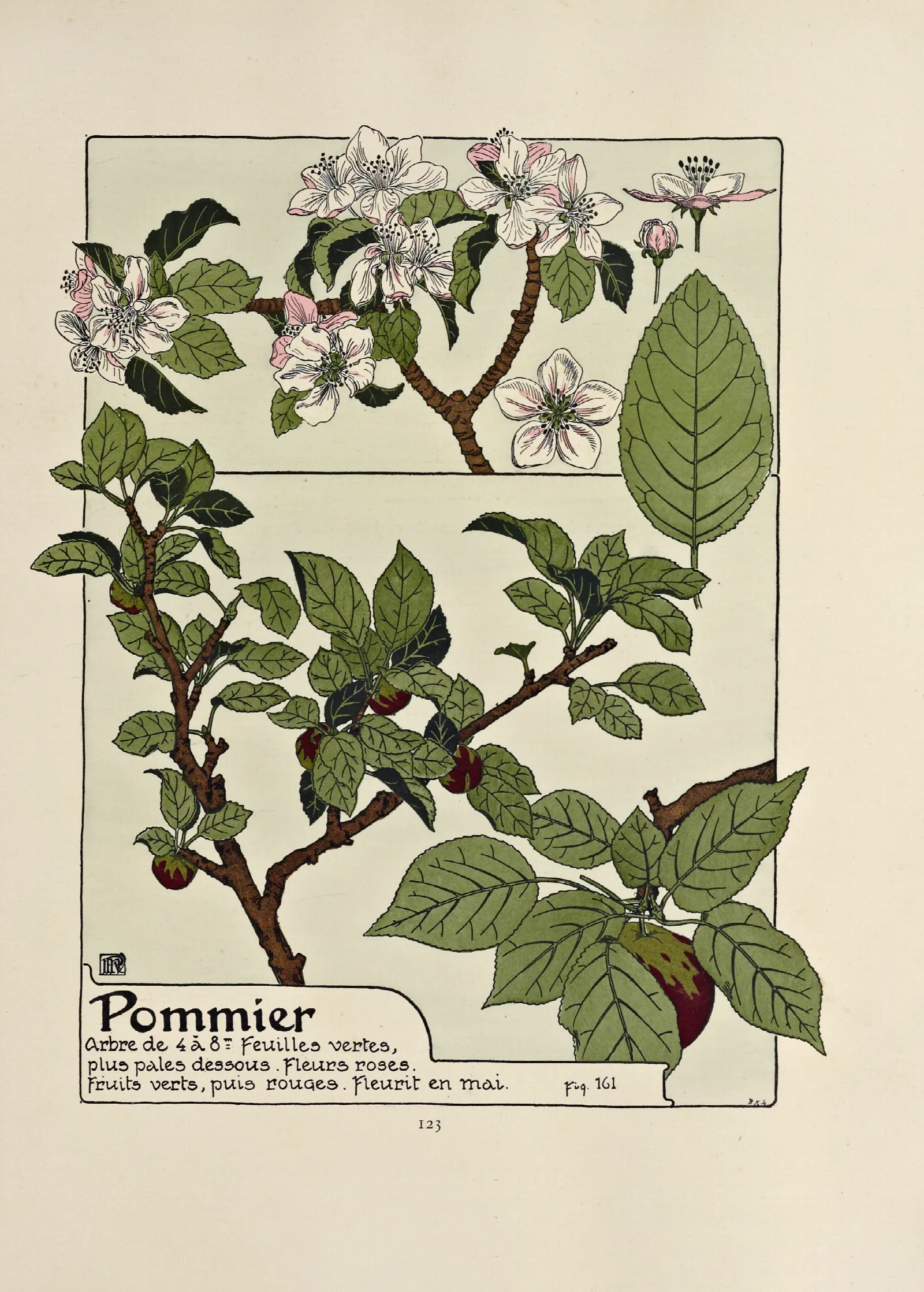 Pommier Wall Art by Maurice Pillard Verneuil - Canvas Print