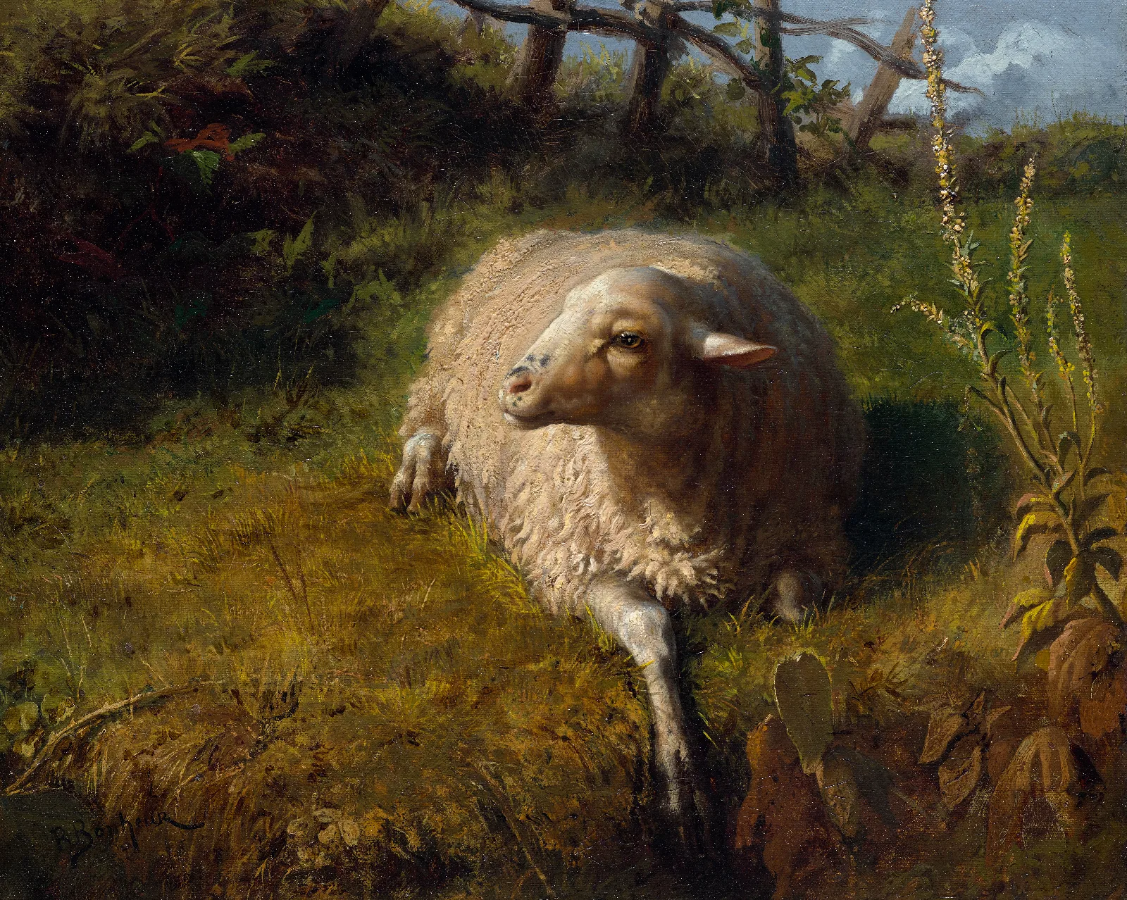 A Sheep At Rest Wall Art by Rosa Bonheur - Canvas Print