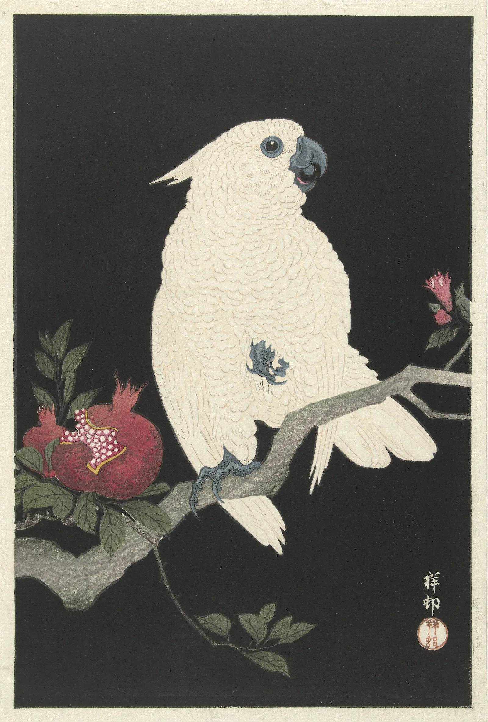 Cockatoo And Pomegranate Wall Art by Ohara Koson - Canvas Print