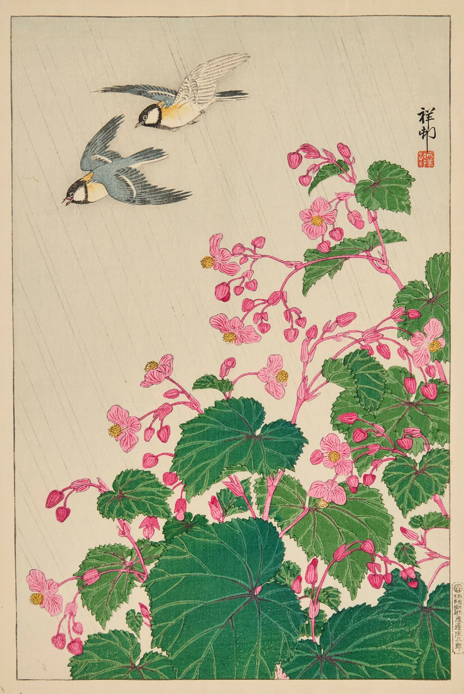 Two Manchurian Great Tits In Flight Above Begonia Wall Art by Ohara Koson - Canvas Print
