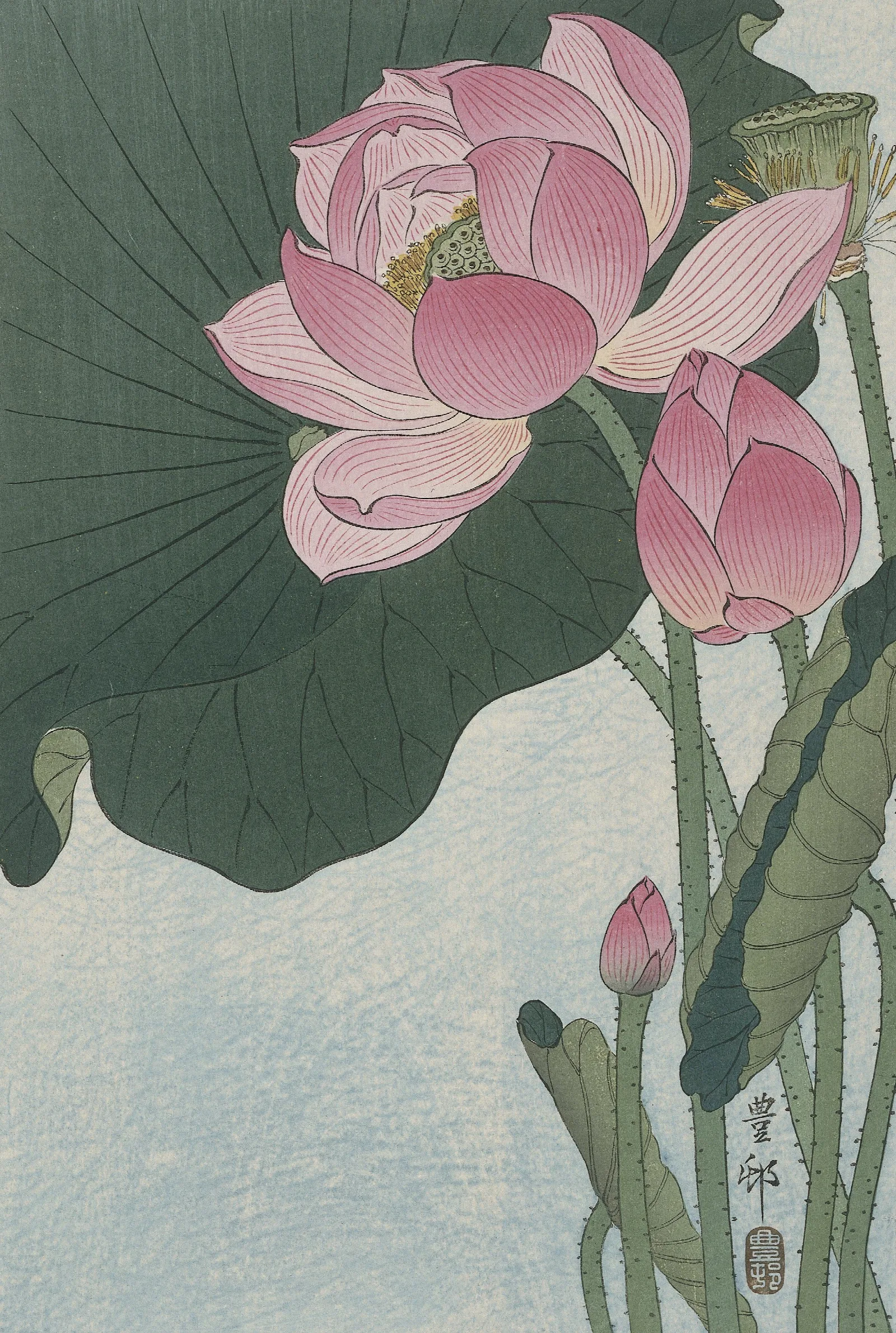 Blooming Lotus Flowers Wall Art by Ohara Koson - Canvas Print
