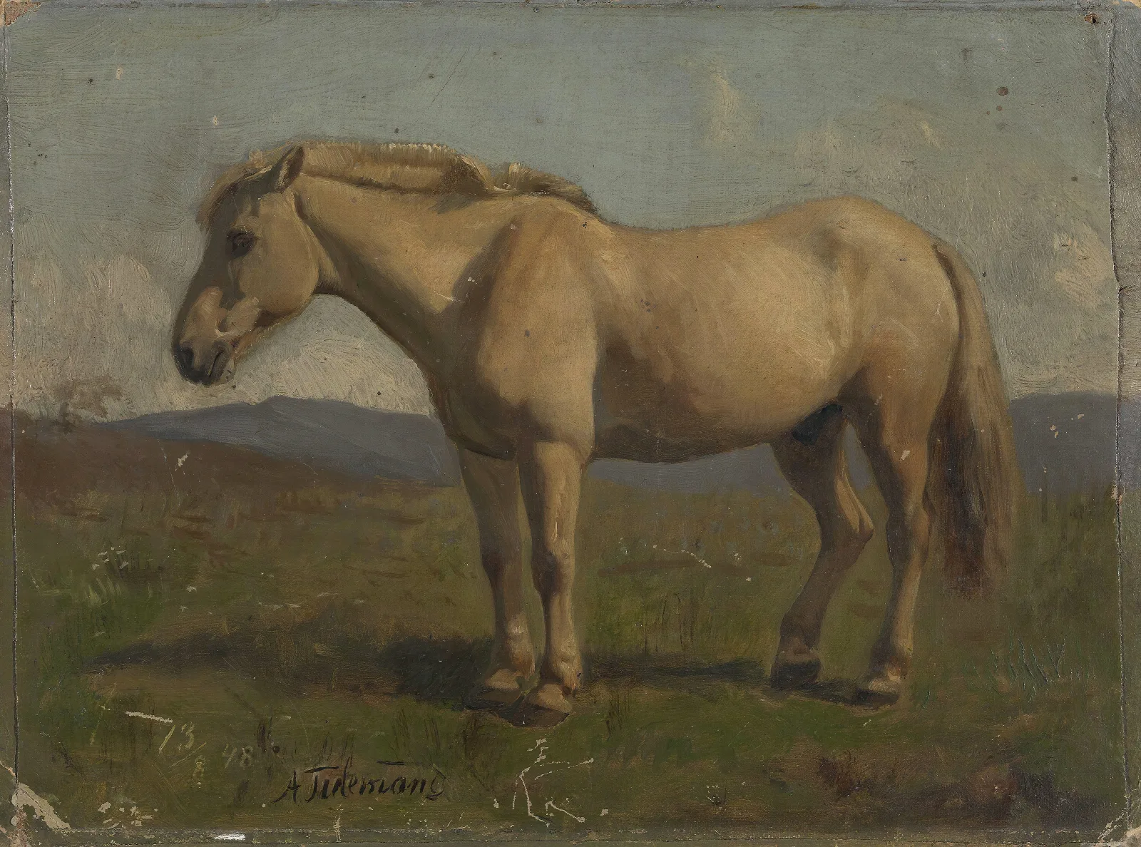 A Dun Horse Wall Art by Adolph Tidemand - Canvas Print