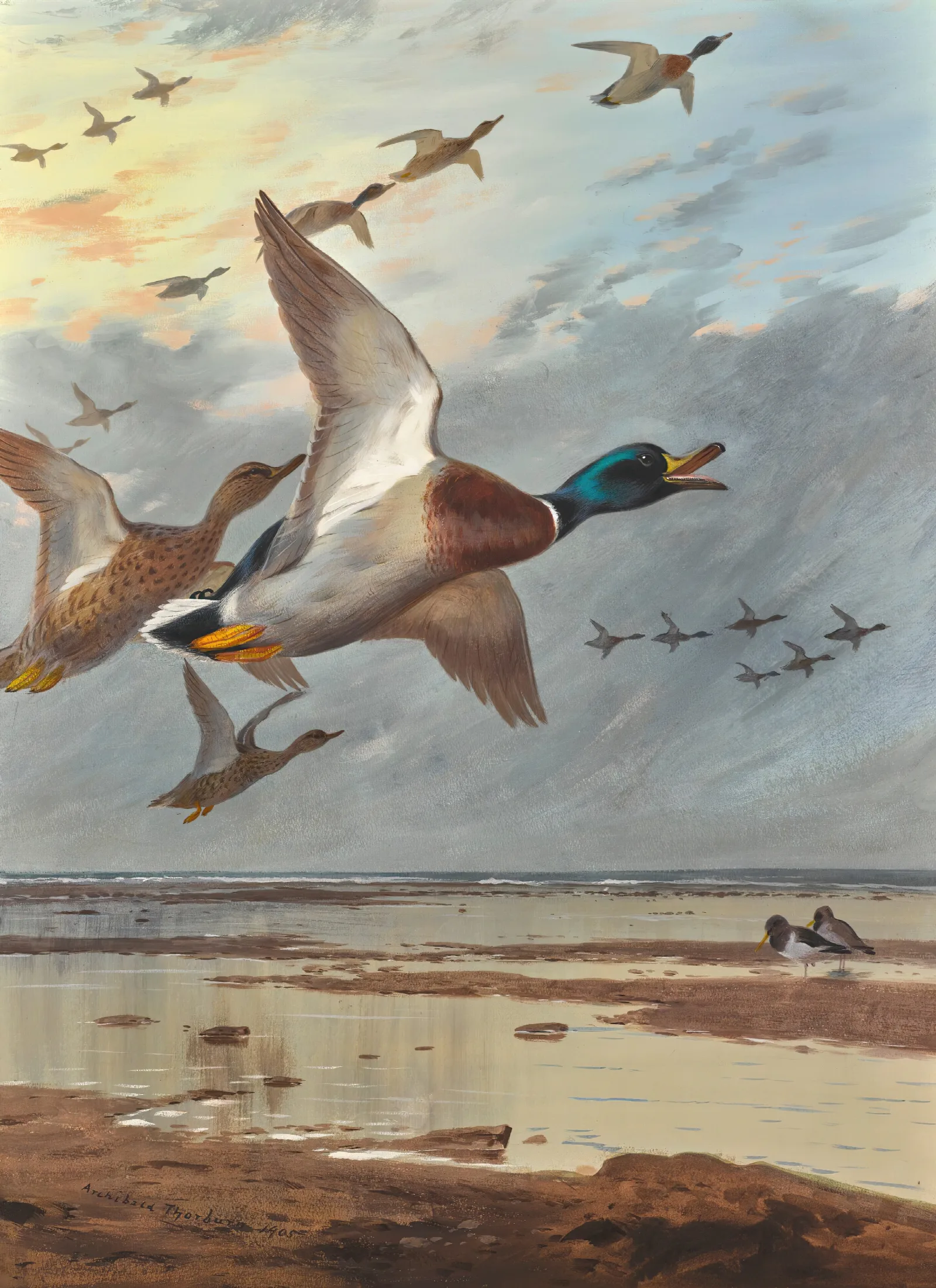 Coming In From The Sea Wall Art by Archibald Thorburn - Canvas Print