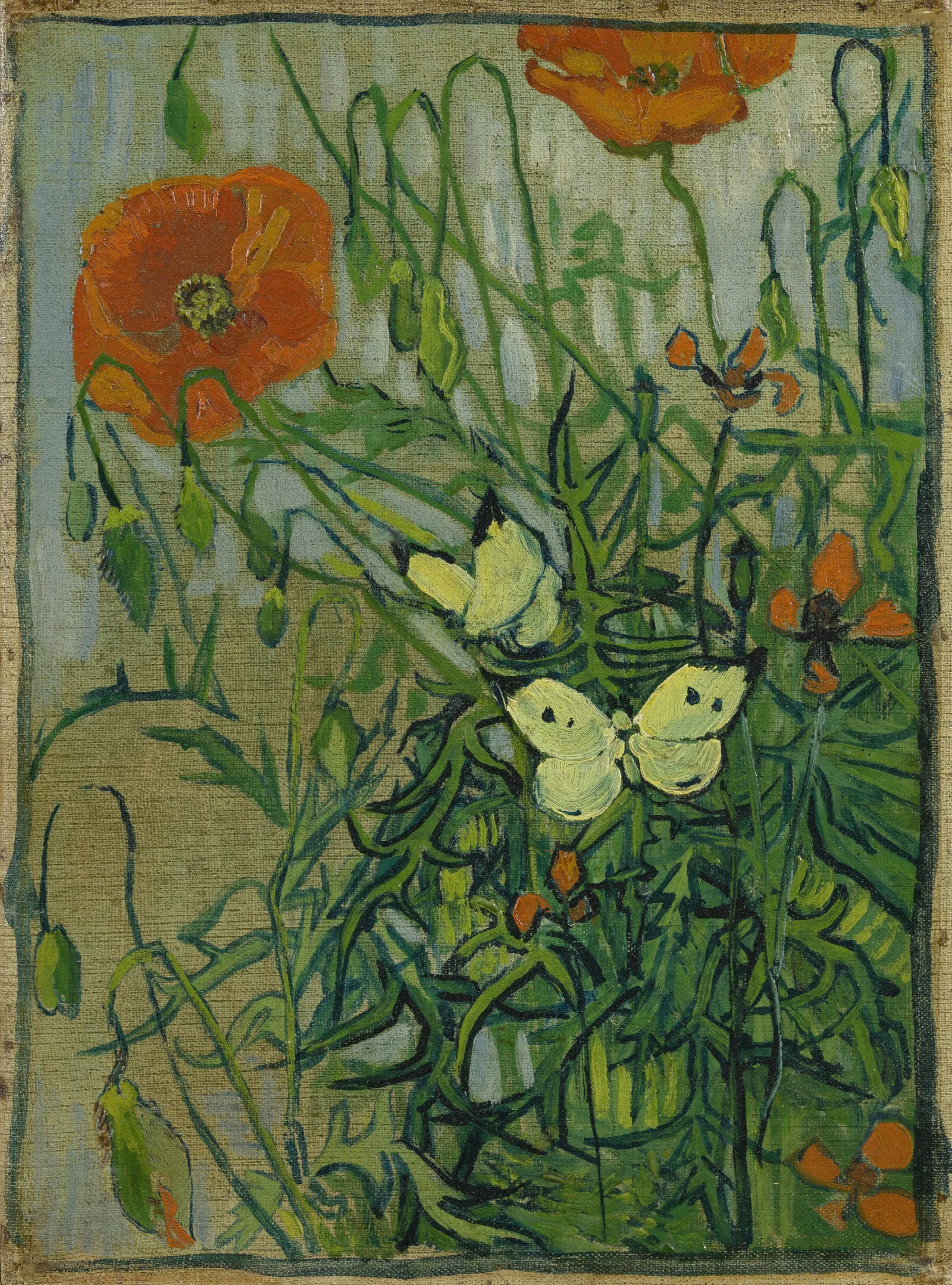 Butterflies And Poppies Wall Art by Vincent van Gogh - Canvas Print