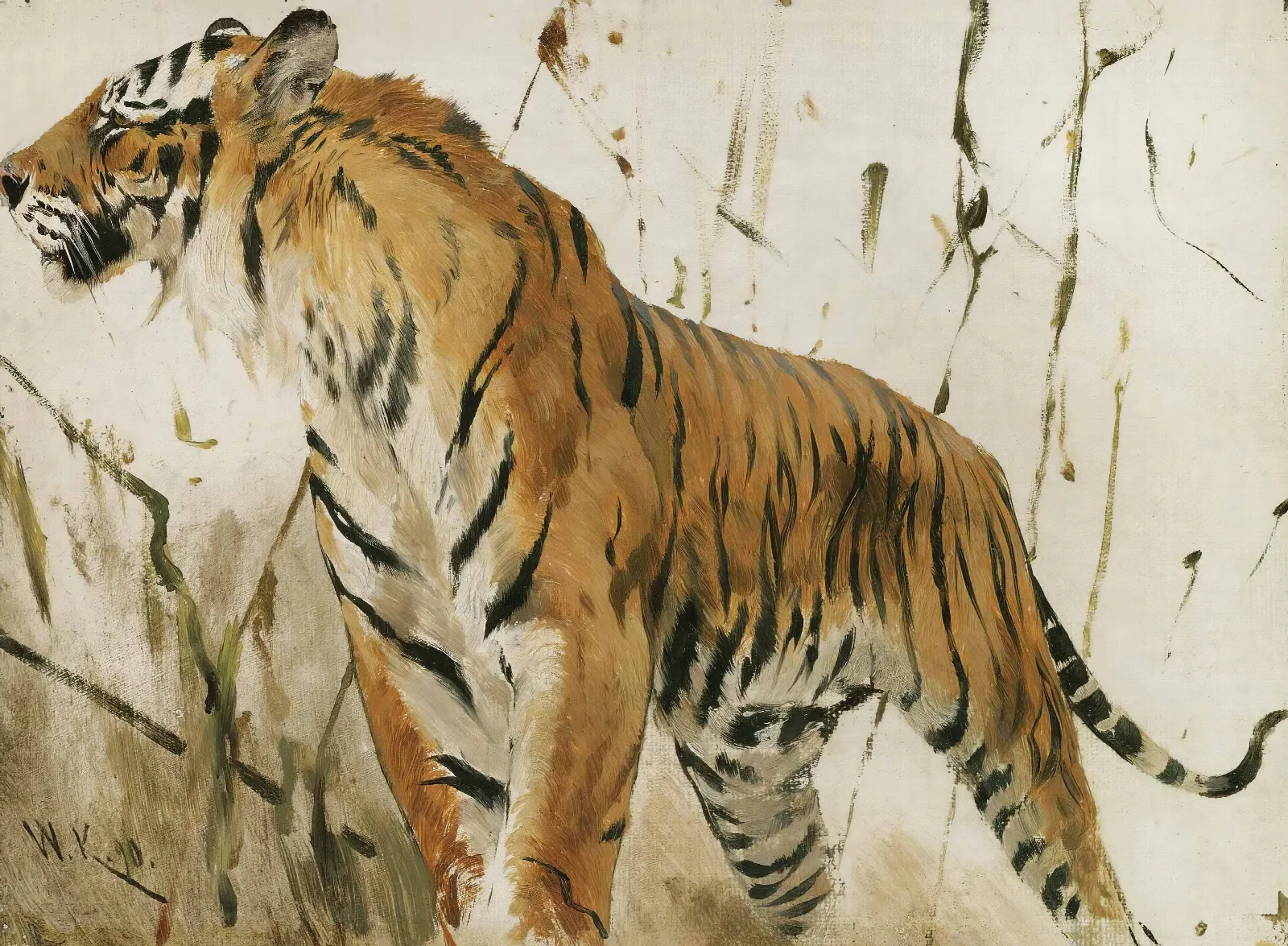 Study Of A Tiger Wall Art by Wilhelm Kuhnert - Canvas Print