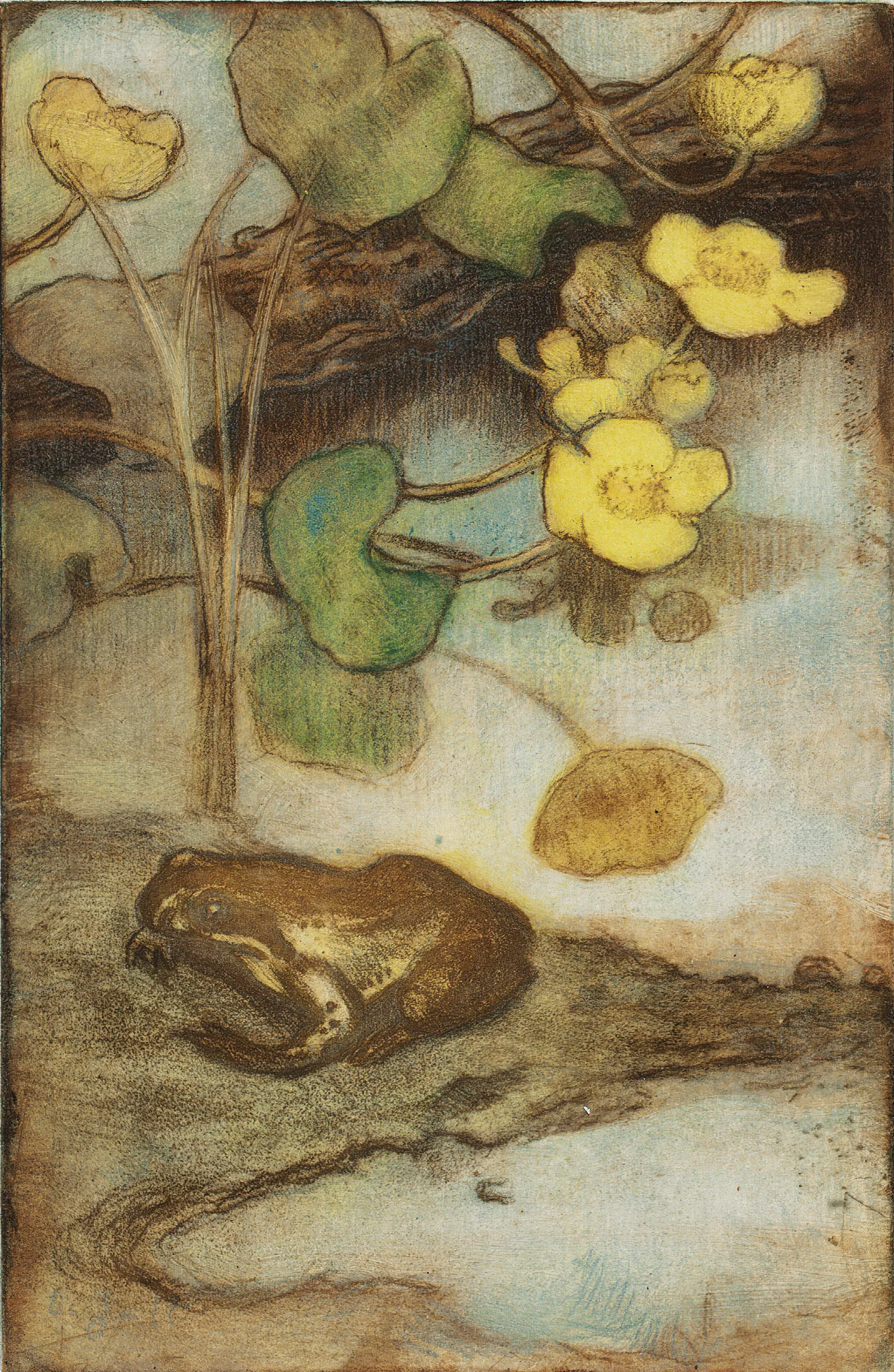 Frog With Marsh Marigold Wall Art by Eero Järnefelt - Canvas Print