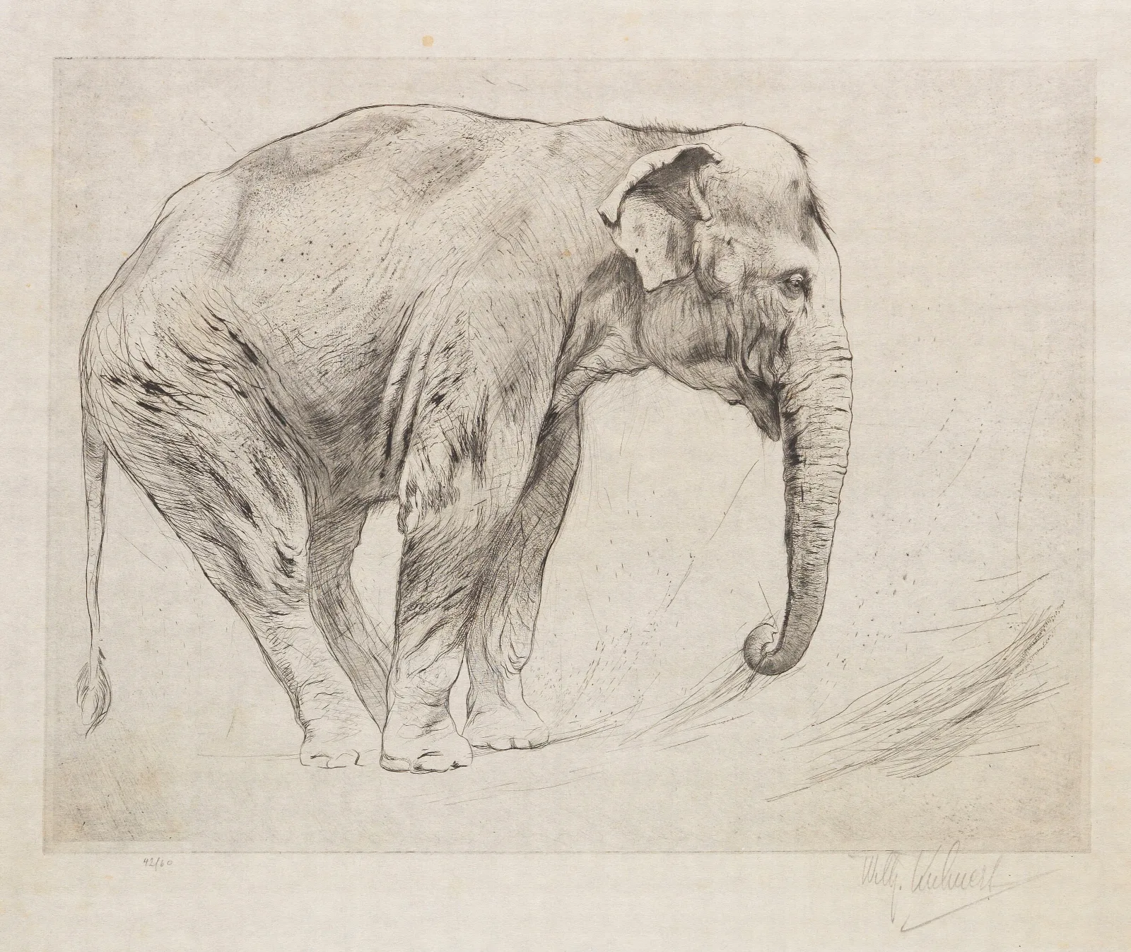 Indian Elephant Wall Art by Wilhelm Kuhnert - Canvas Print