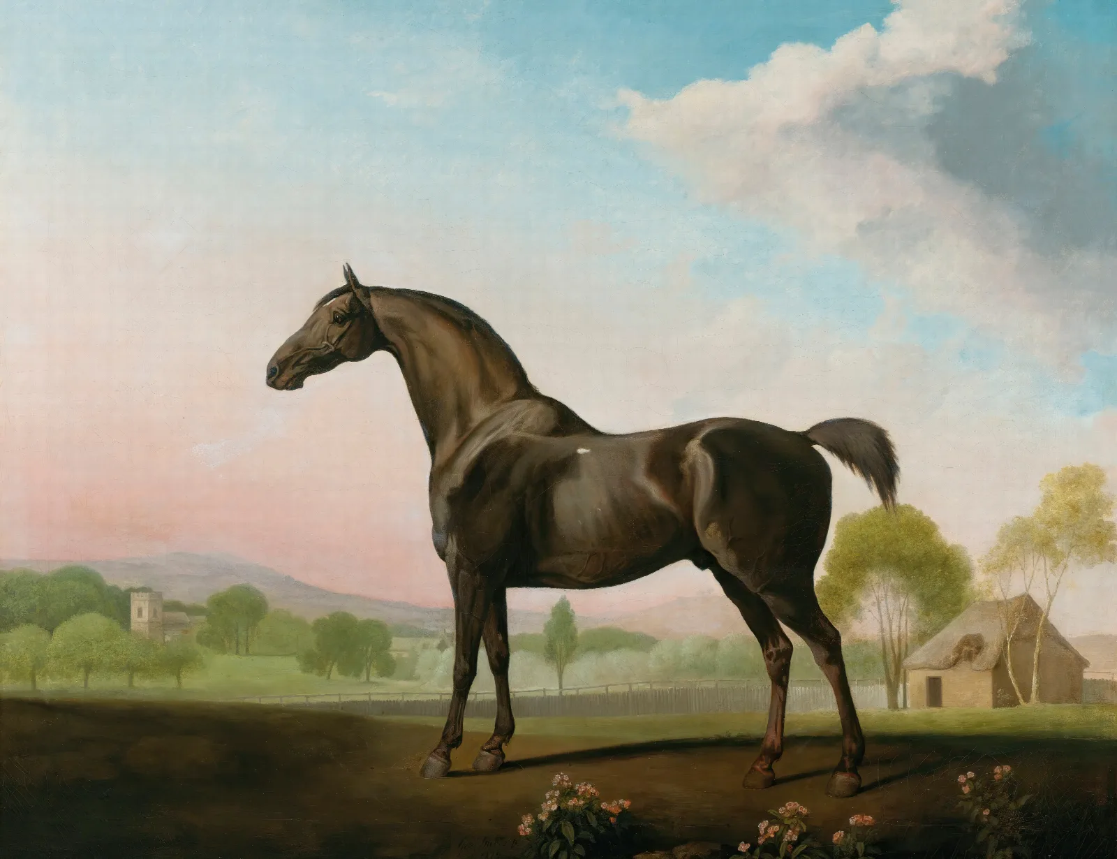 Lord Grosvenors Sweet William In A Landscape Wall Art by George Stubbs - Canvas Print