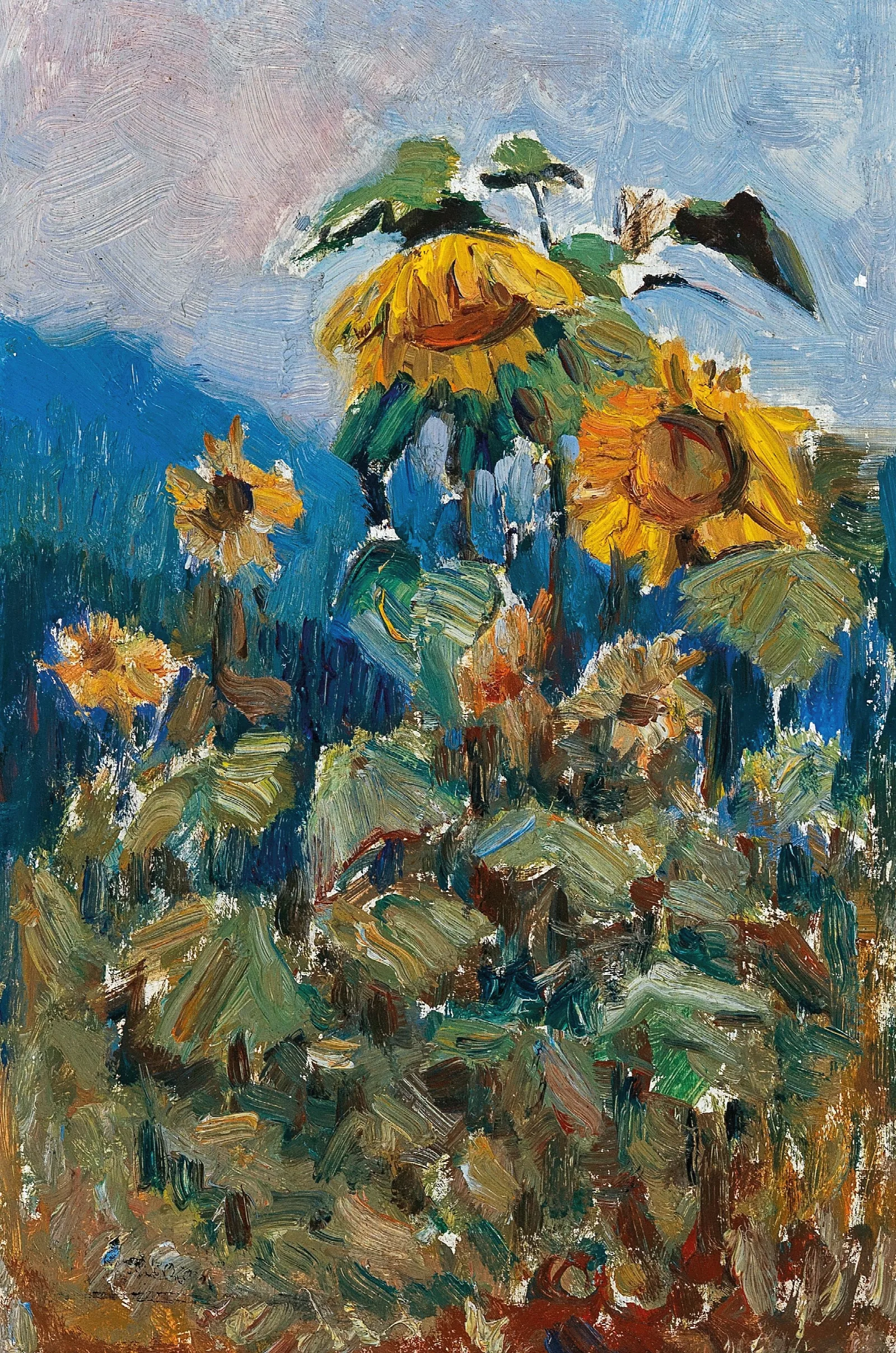 Study Of Sunflowers Wall Art by Marie Egner - Canvas Print
