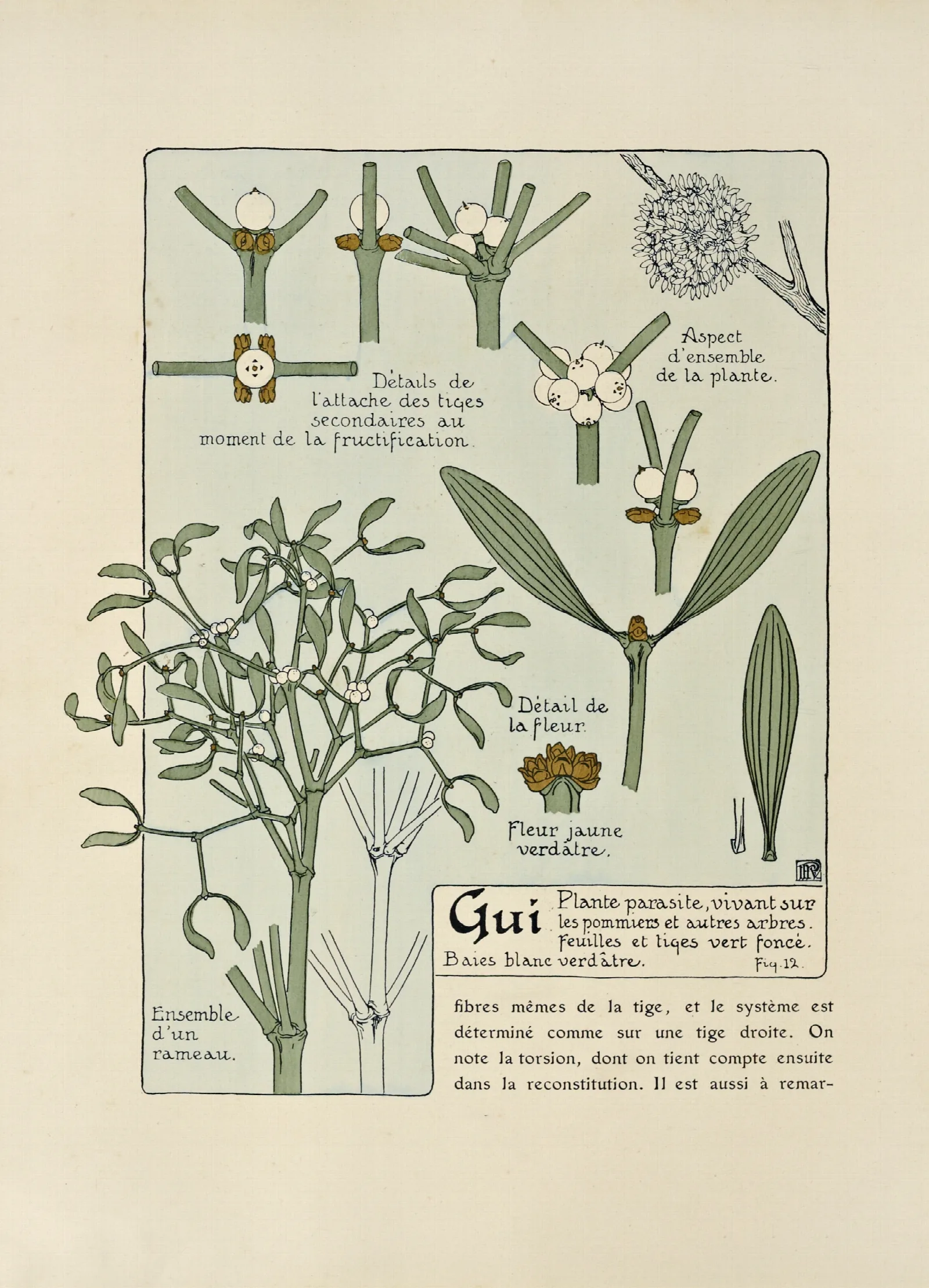Gui Wall Art by Maurice Pillard Verneuil - Canvas Print