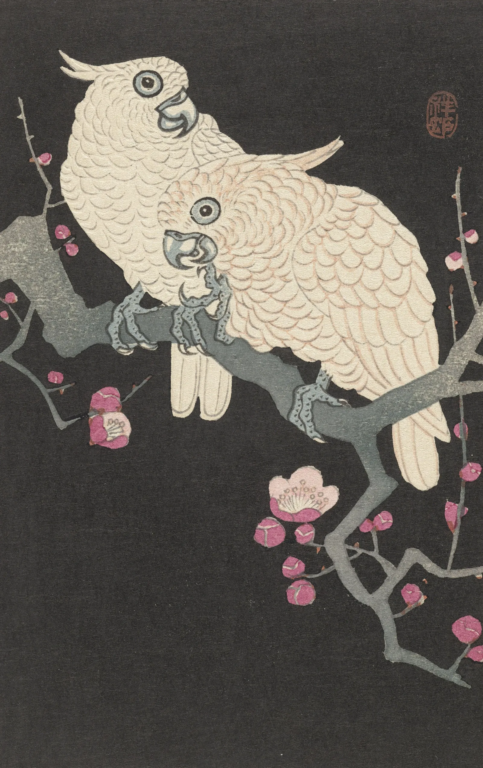 Two Cockatoo And Plum Blossom Wall Art by Ohara Koson - Canvas Print