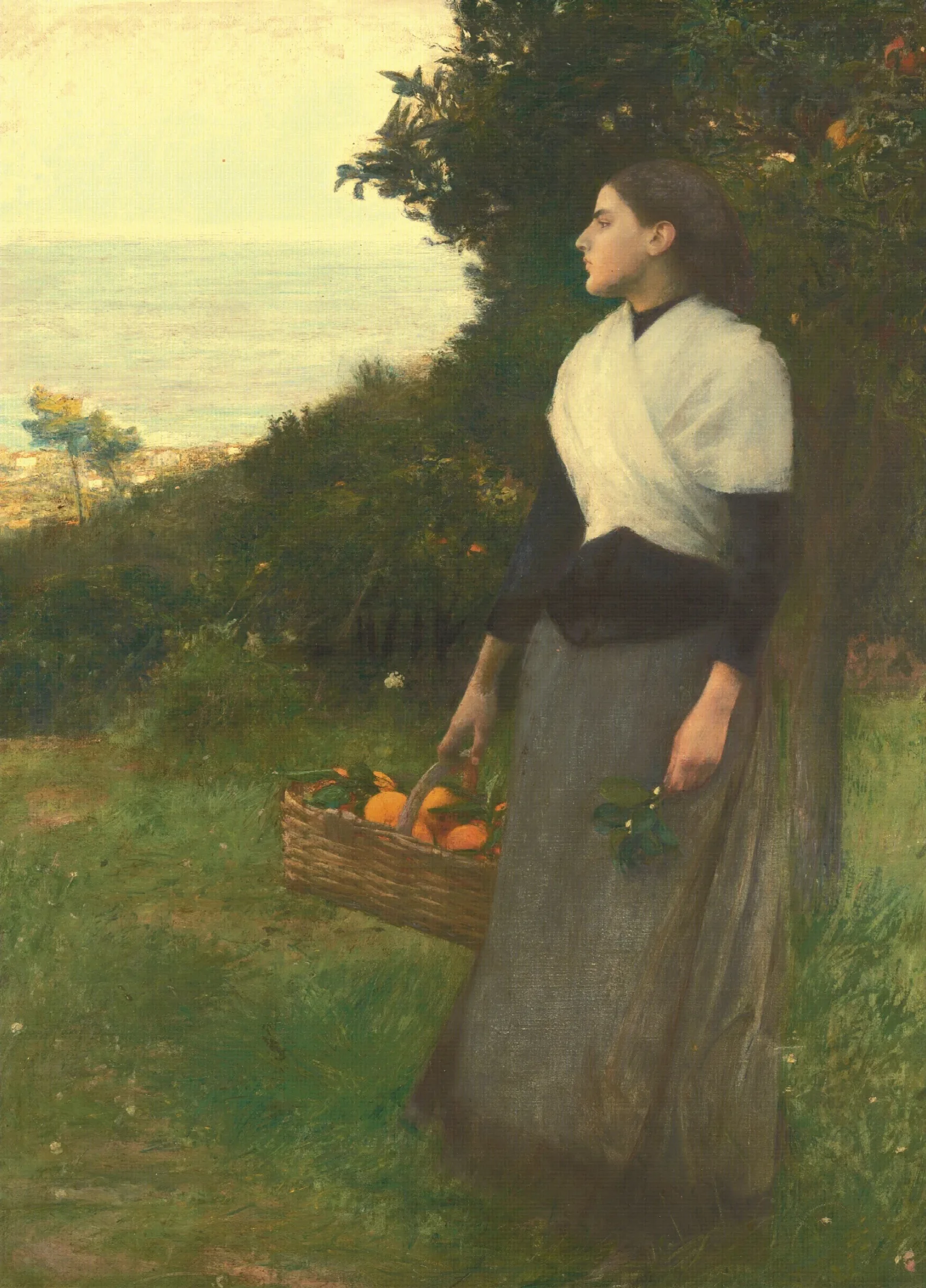 Young Woman In A Garden Of Oranges Wall Art by Pascal-Adolphe-Jean Dagnan-Bouveret - Canvas Print
