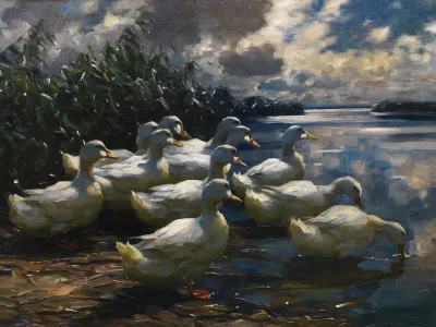 11 Enten In Der Morgensonne