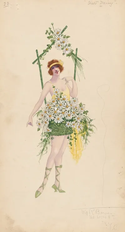 22 Field Daisy