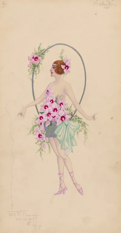 6 Orchids