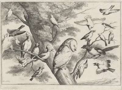 A Barn Owl In A Tree Is Surrounded And Mobbed By Birds Of Many Sorts