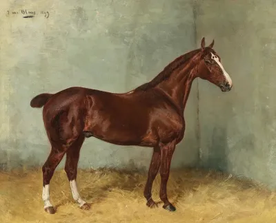 A Bay Horse With White Blaze In A Stable
