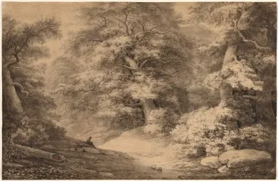 A Beech Wood With A Resting Traveler