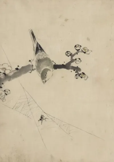 A Bird Perched On A Tree Branch With Blossoms Watching A Spider On A Web