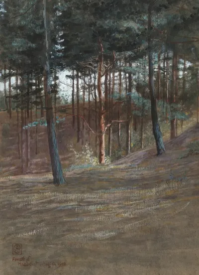A Bit In Hardelot Forest