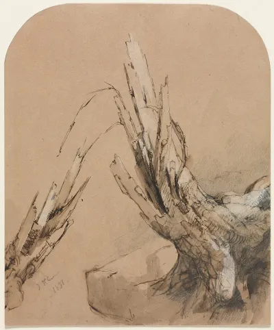 A Blasted Tree 2
