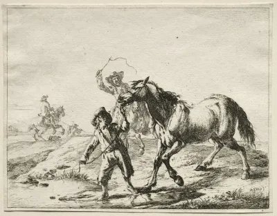 A Boy Taking A Horse To Drink