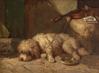 A Break In The Music A Bichon Or Maltese