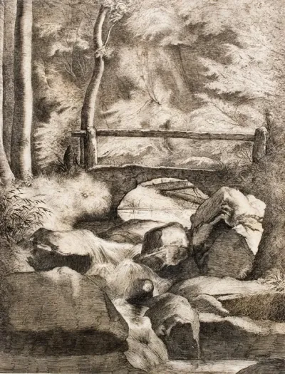 A Bridge Over A Forest Stream