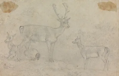 A Buck And Two Deer