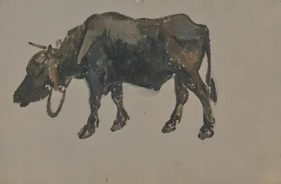 A Buffalo 2
