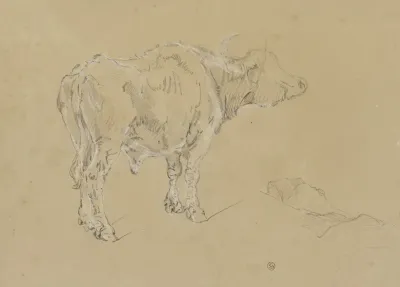 A Buffalo