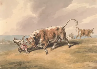 A Bull Attacking A Dog