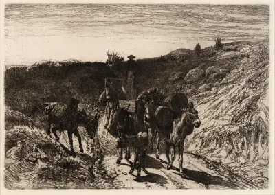 A Burro Train New Mexico